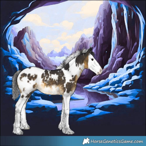 Horse Color:White Spotted Buckskin Splash Appaloosa 
