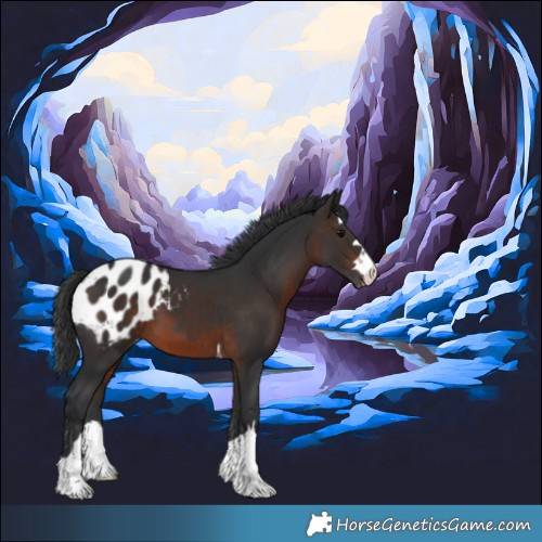 Horse Color:Brown Appaloosa