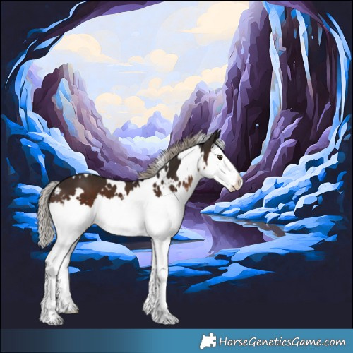 Horse Color:White Spotted Liver Chestnut Splash 