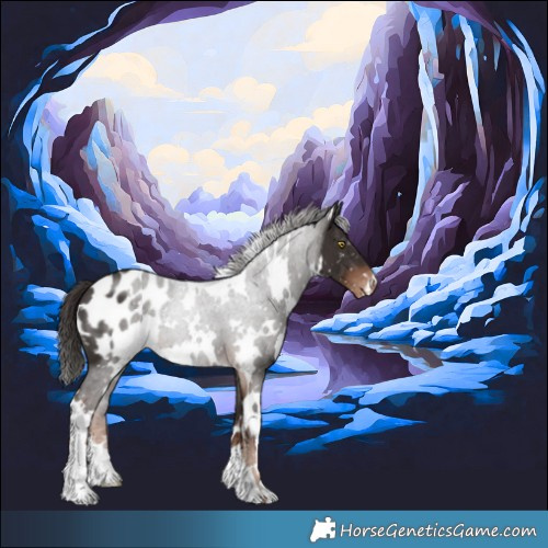 Horse Color:White Spotted Liver Chestnut Appaloosa 