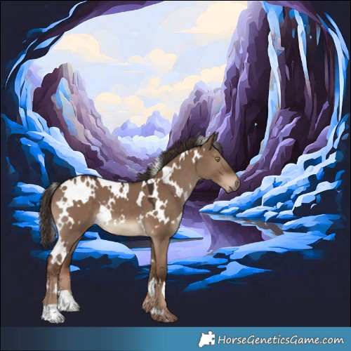 Horse Color:White Spotted Liver Red Dun 