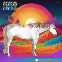 Horse Color:White Spotted Chestnut Frame 