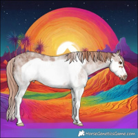 Horse Color:White Spotted Chestnut Frame 