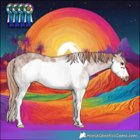 Horse Color:White Spotted Chestnut Frame