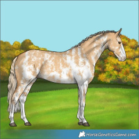Horse Color:Palomino Dun Sabino 