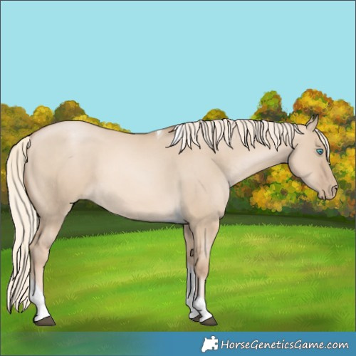 Horse Color:Chocolate Palomino Pearl Dun Tobiano 