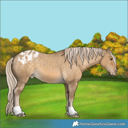 Horse Color:Chocolate Palomino Dun Varnish 