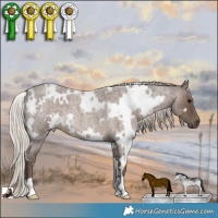 Horse Color:White Spotted Silver Blue Roan 