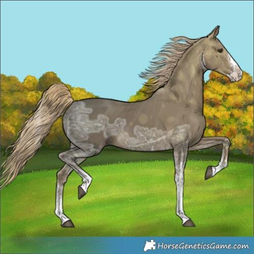 Horse Color:White Spotted Chocolate Palomino Ice Splash 