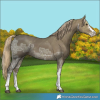 Horse Color:White Spotted Chocolate Palomino Ice Splash 