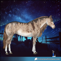 Horse Color:White Spotted Liver Red Dun Rabicano Brindle 