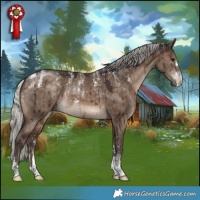 Horse Color:Powder White Silver Brown Dun Brindle 