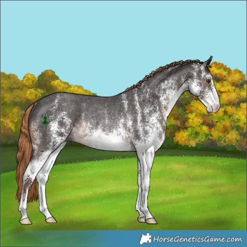 Horse Color:White Spotted Liver Chestnut Rabicano 