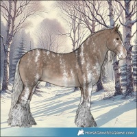 Horse Color:Powder White White Spotted Silver Brown Dun 