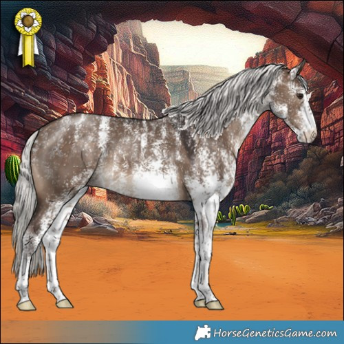 Horse Color:Powder White White Spotted Silver Brown Dun 