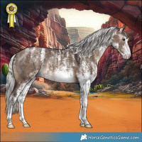 Horse Color:Powder White White Spotted Silver Brown Dun