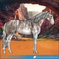 Horse Color:Powder White White Spotted Silver Brown Dun 