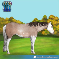 Horse Color:Sable Champagne Splash 