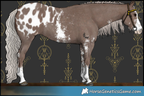 Horse Color:Silver Black Sabino Blanket 