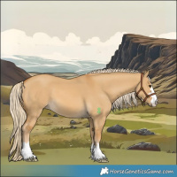 Horse Color:Palomino Dun 