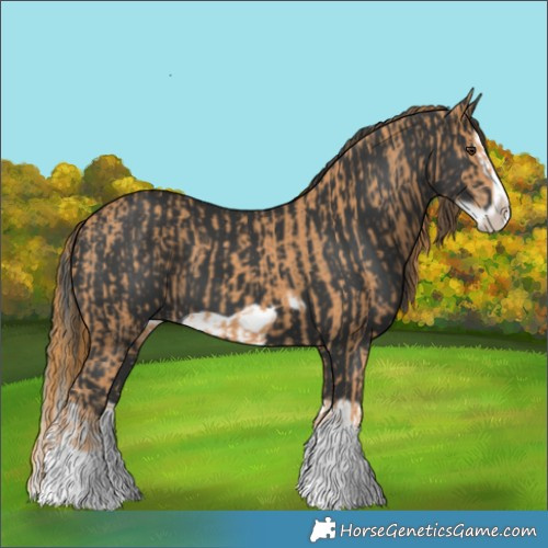 Horse Color:Chestnut Splash Frame  and Black Splash Frame 