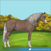 Horse Color:Silver Black 