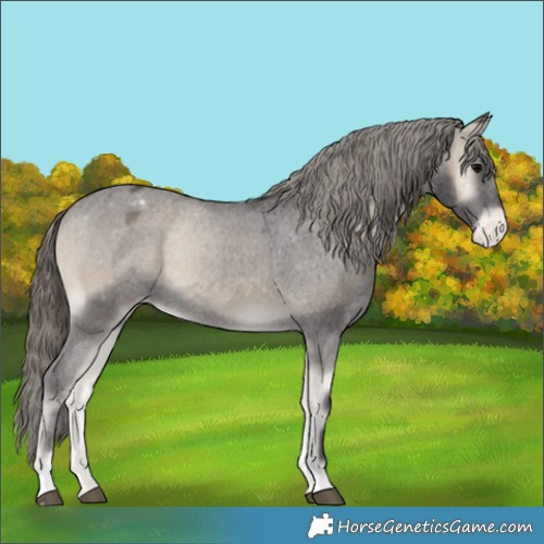 Horse Color:Smoky Blue Onyx Varnish Rabicano