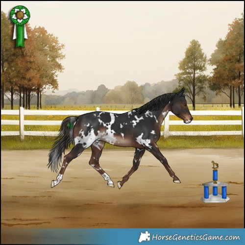 Horse Color:White Spotted Liver Chestnut 