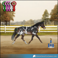 Horse Color:White Spotted Liver Chestnut 