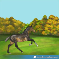 Horse Color:Silver Buckskin