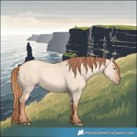 Horse Color:Gold Champagne Dun 