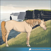 Horse Color:Gold Champagne Dun