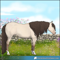 Horse Color:Amber Champagne Dun 