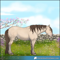 Horse Color:Amber Champagne Dun 