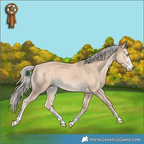Horse Color:Cremello 