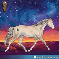 Horse Color:Cremello 