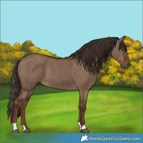 Horse Color:Liver Red Dun 
