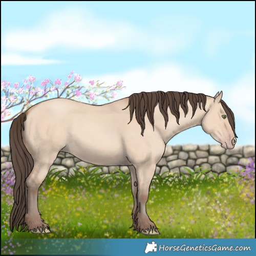 Horse Color:Amber Champagne Dun