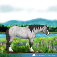 Horse Color:Smoky Grullo Roan 