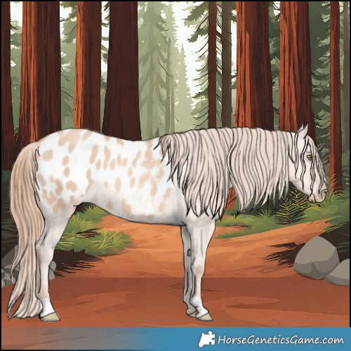 Horse Color:Gold Champagne Dun Blanket 
