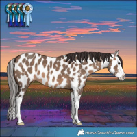 Horse Color:Brown Dun Sabino Splash Near Leopard 
