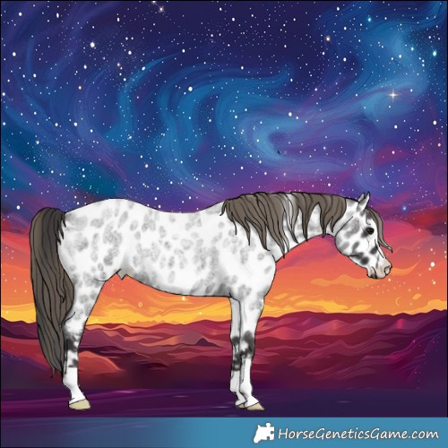 Horse Color:Smoky Blue Roan Near Leopard 