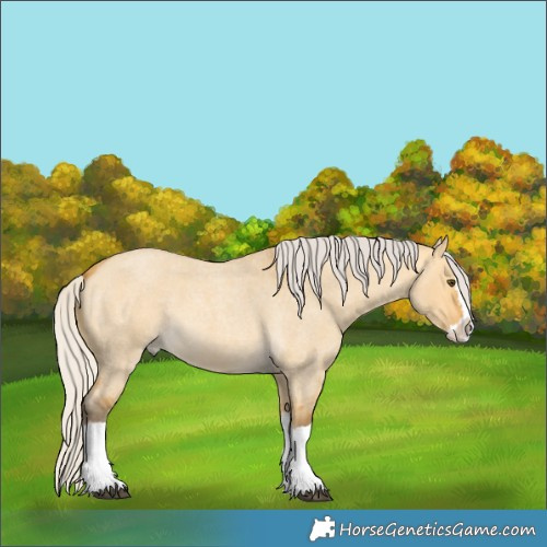 Horse Color:Silver Buckskin Roan Dun Splash 