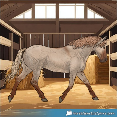 Horse Color:Red Dun 