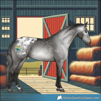 Horse Color:Gray Black Blanket 