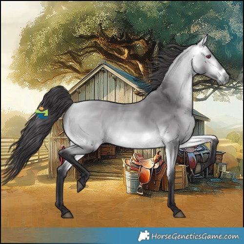 Horse Color:Platinum Buckskin Chinchilla 
