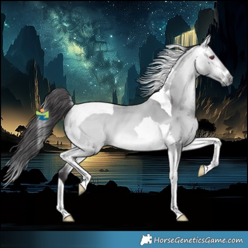 Horse Color:Platinum Buckskin Chinchilla Tobiano 
