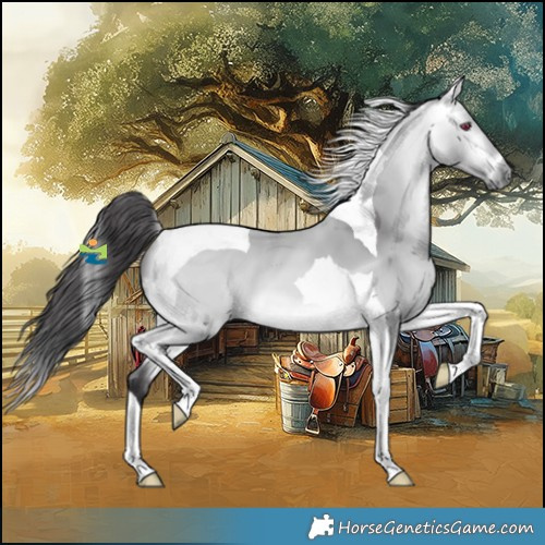 Horse Color:Platinum Buckskin Chinchilla Tobiano 