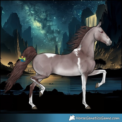 Horse Color:Platinum Chocolate Bay Chinchilla Tobiano 