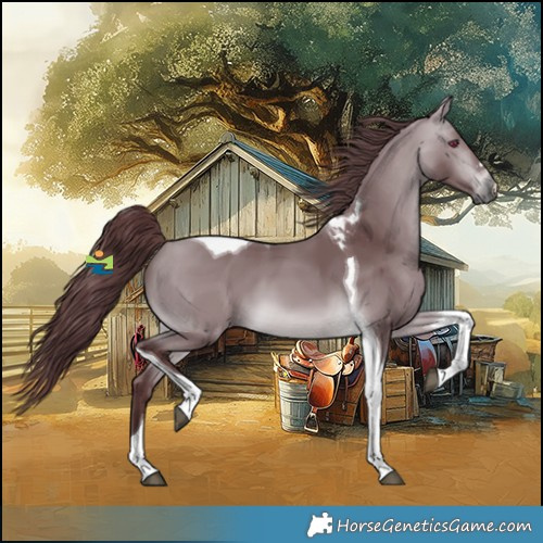 Horse Color:Platinum Chocolate Bay Chinchilla Tobiano 